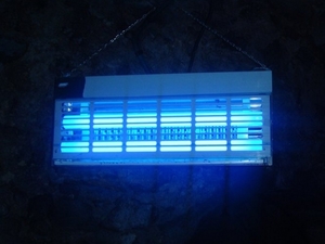 УФ-лампа для дома - характеристики бытовых приборов