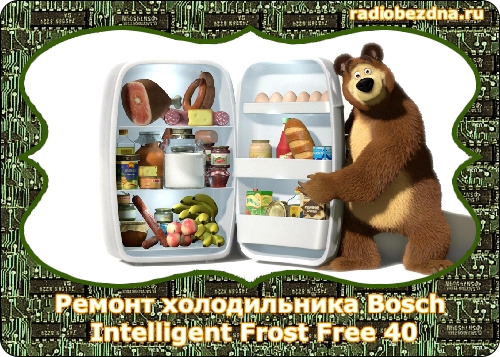 холодильник bosch intelligent frost free 40