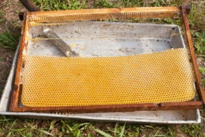 пчелиная рамка