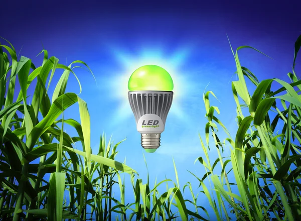 Рост экологии - led лампа - зеленый освещение — стоковое фото