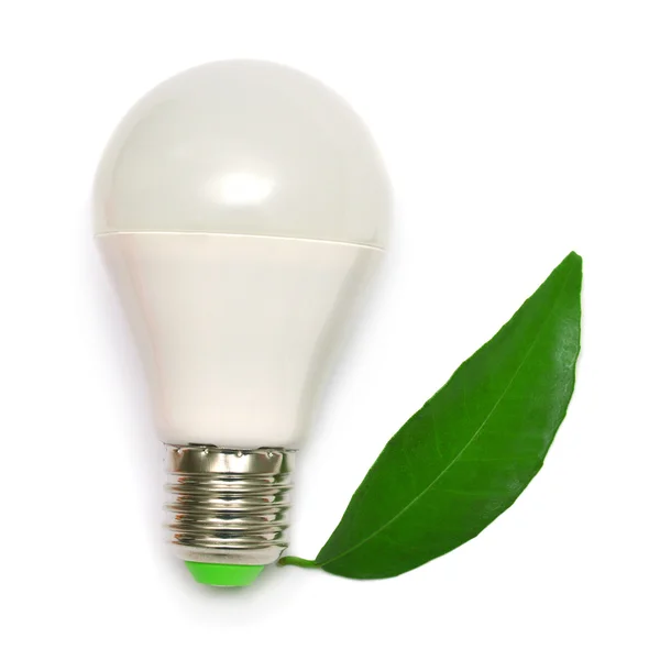 Светодиодные лампы и листьев — стоковое фото